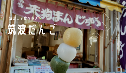 【筑波山神社周辺の食べ歩き】神田家のつくば団子（ごま餡・くるみ餡・つぶ餡）を食べてみた